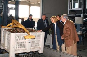 Rosa M. Cubel felicita la Cooperativa Agrícola de Cambrils "pel valor afegit que saben aportar a la producció d'olives"