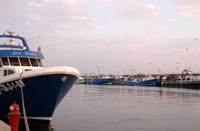 Ports de la Generalitat invertirà 500.000 euros al port de Cambrils durant l'any 2008
