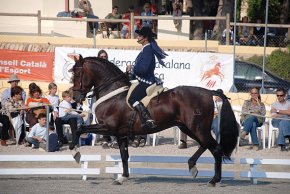 El genet José Manuel Santiago de l'Escola d'Equitació Antonio Santiago de Cambrils es proclama campió absolut de Catalunya