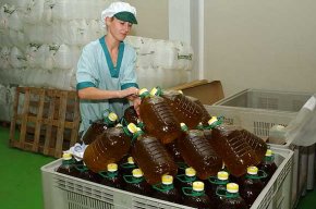La Cooperativa Agrícola tanca la campanya de l'oli amb una xifra rècord de 700.000 litres 
