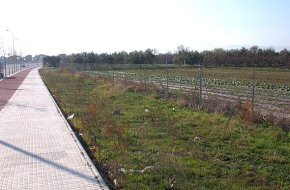 La Generalitat podria impulsar una Àrea Residencial Estratègica en una zona propera a la urbanització dels Ametllers