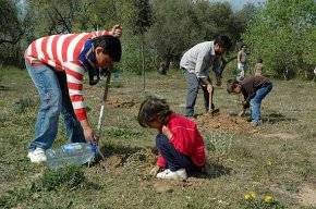 L'Agrupament Escolta Gent de Mar planta 300 arbres a la zona verda del Molí de la Torre