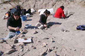 S'inicien les excavacions d'un nou sector molt ric en estructures en el jaciment del Cavet