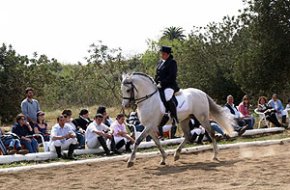 Els alumnes de l'Escola d'Equitació Antonio Santiago de Cambrils vencen en quatre de les sis proves disputades al I Concurs de Doma Clàssica 