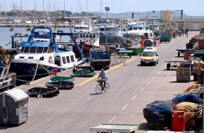 El sector pesquer de l'arrossegament inicia la parada temporal de dos mesos de veda