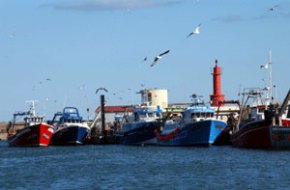 El govern municipal no vol  que es faci lampliació del port