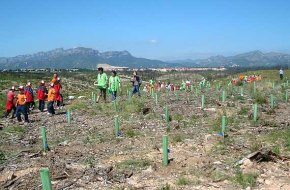 Mont-roig del Camp celebra la I Festa de l'Arbre i ret un reconeixement a tots els col·laboradors que van prestar ajuda en l'incendi de l'any passat
