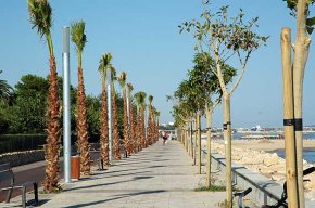 La primera fase de la il·luminació al nou passeig de Ponent podria posar-se en marxa aquesta propera setmana