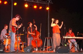 El concert de lOmbre de ton Chien aplega força públic al Parc del Pinaret