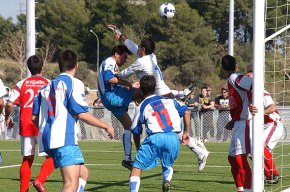 Bons resultats dels equips sèniors de bàsquet, de handbol i del Mediterrani en futbol sala