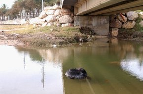 Els efectes del temporal del diumenge encara són evidents al litoral cambrilenc