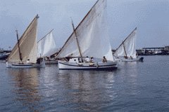 La trobada dembarcacions de vela llatina rememora la pesca daltres temps