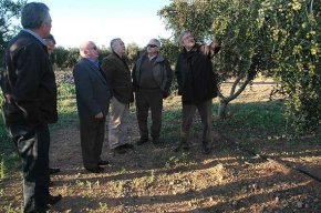 El delegat del Govern visita la Cooperativa i una finca particular en motiu de la campanya de l'oliva 