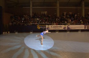 La Gala de Campions 2008 de Patinatge Artístic celebrada a Cambrils ha estat retransmesa tres vegades pel Canal 33
