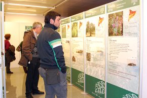 L'exposició "Plantes medicinals de Catalunya" porta a la sala Àgora la saviesa popular de l'etnobotànica 