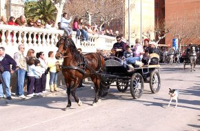 Aquest cap de setmana Sant Antoni torna amb la competició de botifarra i una nova edició dels Tres Tombs