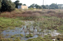 Parc doci, un nou litigi entre lAjuntament i la Comissió Territorial dUrbanisme