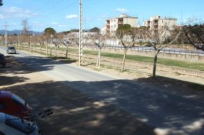 L'Ajuntament de Cambrils batejarà un carrer amb el nom de Charles R. Darwin