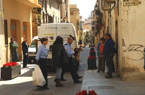 Una veïna del Barri Antic, que convivia amb 21 gossos, és desallotjada per no pagar el lloguer durant un any