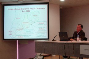 El Centre Cultural acull una jornada tècnica sobre la prevenció de la plaga del morrut roig que afecta a les palmeres