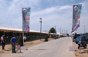 La Fira del Cavall de Cambrils incorpora una nova prova de doma, el Cicle de Cavalls Joves
