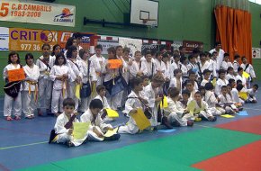 Uns 80 judokes locals celebren al Palau Municipal d'Esports la seva festa fi de curs
