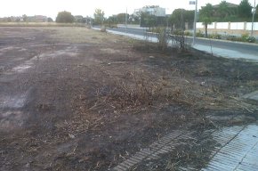 Segon incendi en un solar urbanitzable, aquest estiu