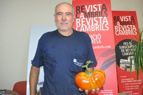 Un pagès de Cambrils cull una tomaca d'1,6 quilos de pes