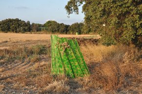 La cacera de tudons mobilitza una setantena de caçadors al vedat de Cambrils