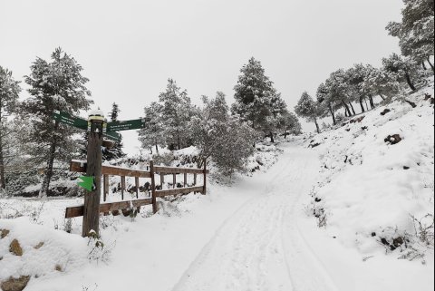 La neu arriba al territori (Prenafeta)