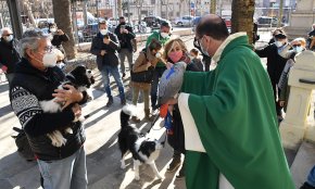 La benedicció dels animals, l'únic tast de la festivitat de Sant Antoni d'aquest gener