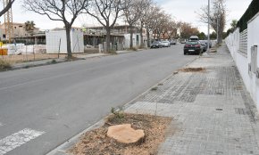 Veïns del carrer d'Auguste Renoir encarreguen la tala d'una dotzena d'arbres amb el vistiplau municipal 