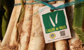 El preu del calçot de Valls es dispara per la forta demanda i la falta de producte