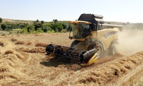 La Llotja de Reus alerta del perill de desproveïment de cereals per la guerra a Ucraïna