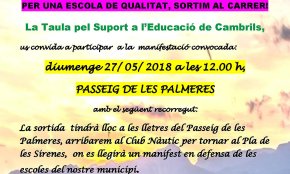 La Taula pel Suport a l'Educació convoca una manifestació, aquest diumenge, contra la massificació d'alumnes a les aules