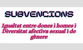 S'obre una convocatòria de subvencions per a entitats que realitzin activitats en matèria d'igualtat de gènere