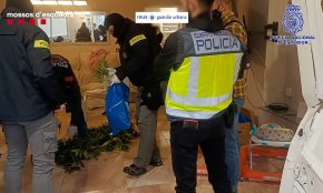 Desmantellat un grup criminal que havia muntat una xarxa de domicilis on s'adulterava, preparava i distribuïa cocaïna al Baix Camp