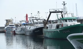 El sector de l'arrossegament fa la veda anual que enguany s'amplia 10 dies més per la normativa europea