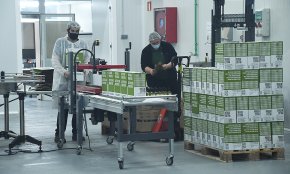 Aceites Mestral produeix 400 tones mètriques d'oli en la seva primera temporada