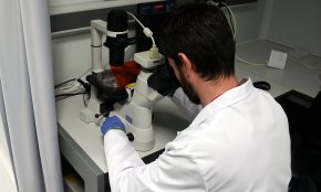 Ja són 14 els casos de verola del mico a Catalunya, tots amb vinculació epidemiològica