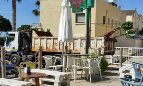 El Departament de Medi Ambient planta 66 arbres i una desena de palmeres als barris de Ponent