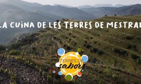 La MIDIT presenta vuit vídeos de receptes sota el nom «La cuina de les Terres de Mestral»