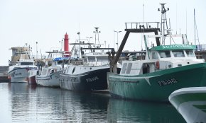 Cambrils entra a formar part de l'Associació Grup d'Acció Local Pesquer Costa Daurada (GALPCD)
