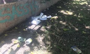 Cambrils en Comú es queixa de la deixadesa i la manca de neteja dels carrers en plena temporada turística