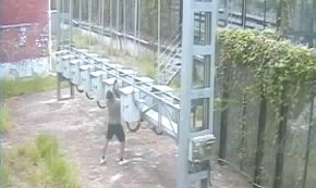 Desarticulen un grup que robava cablejat d'alta tensió de vies de ferrocarril del corredor mediterrani