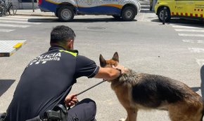 La Policia Local rescata una gossa de l'interior d'un pis on s'havia produït un incendi 
