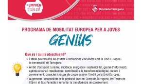Obert el termini per inscriure's al programa Genius, que ofereix ajuts per a estades professionals a l'estranger