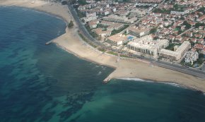 Un estudi comprova la mortalitat massiva d'espècies marines causada per onades de calor al Mediterrani