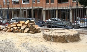 Es talla una de les palmeres del pati de l'Ermita, afectada per la plaga del morrut