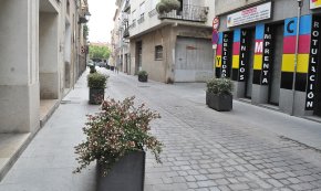 Es fa la reposició de les plantes a dues jardineres del carrer de Sant Plàcid on s'hi havien acumulat excrements i brutícia